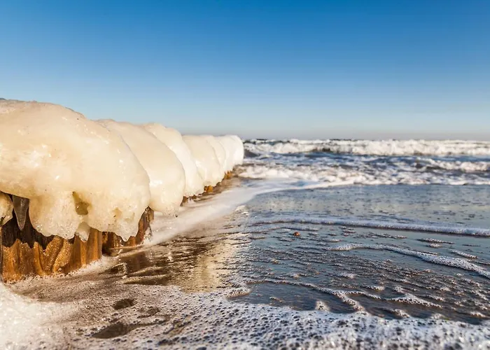 Schwedenhaus In Der Hotelanlage Tarnewitzer Hof Σπίτι διακοπών *