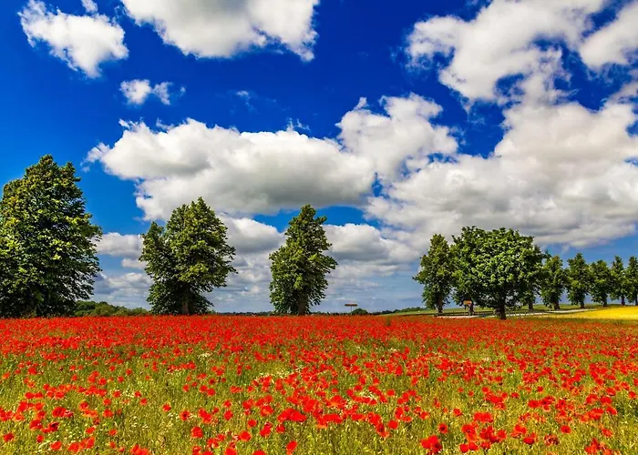 Schwedenhaus In Der Hotelanlage Tarnewitzer Hof * Boltenhagen (Ostseebad)